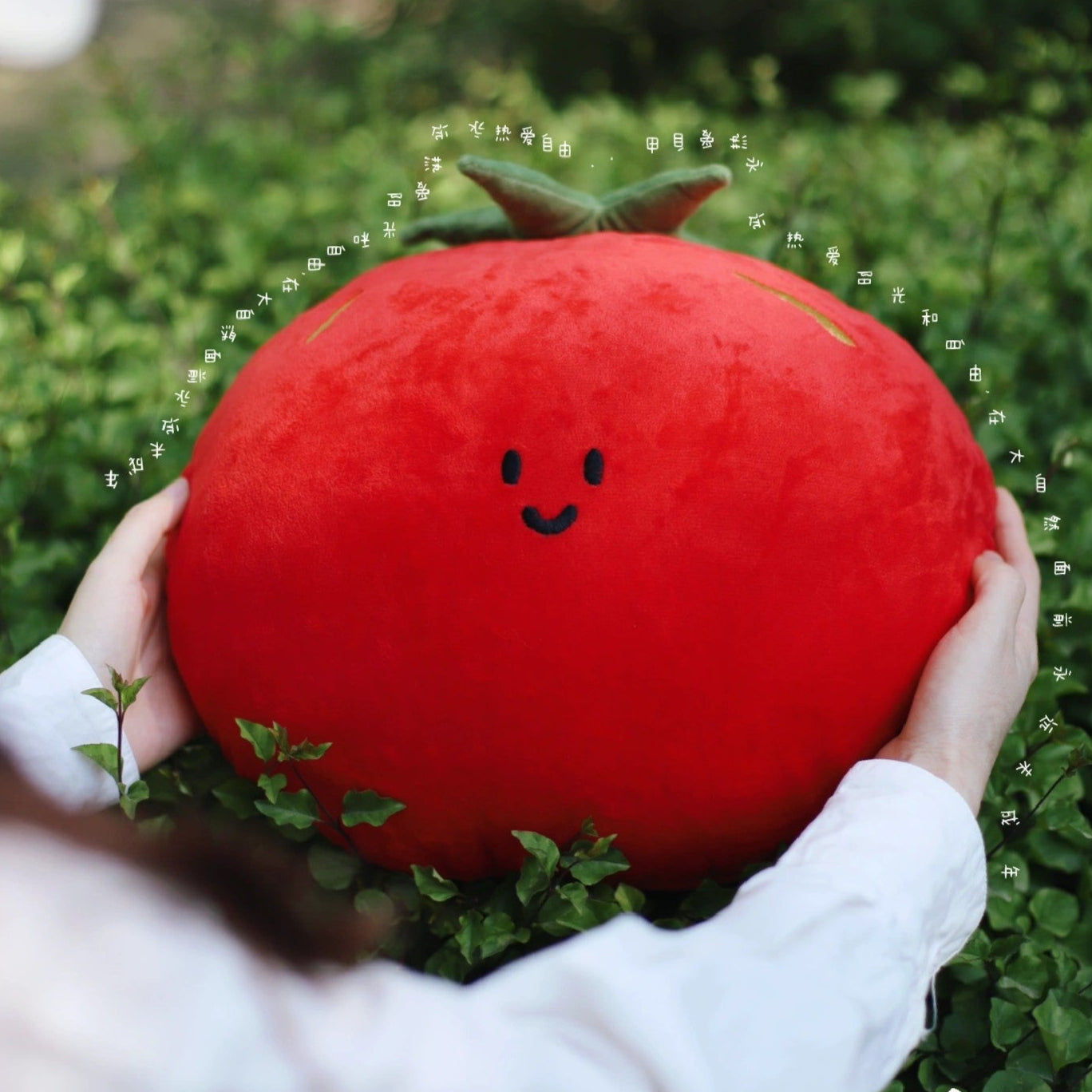Daily White | Tomato Plush Pillow