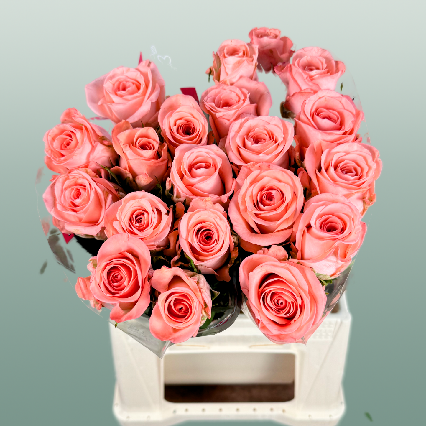 Rose Unicorn