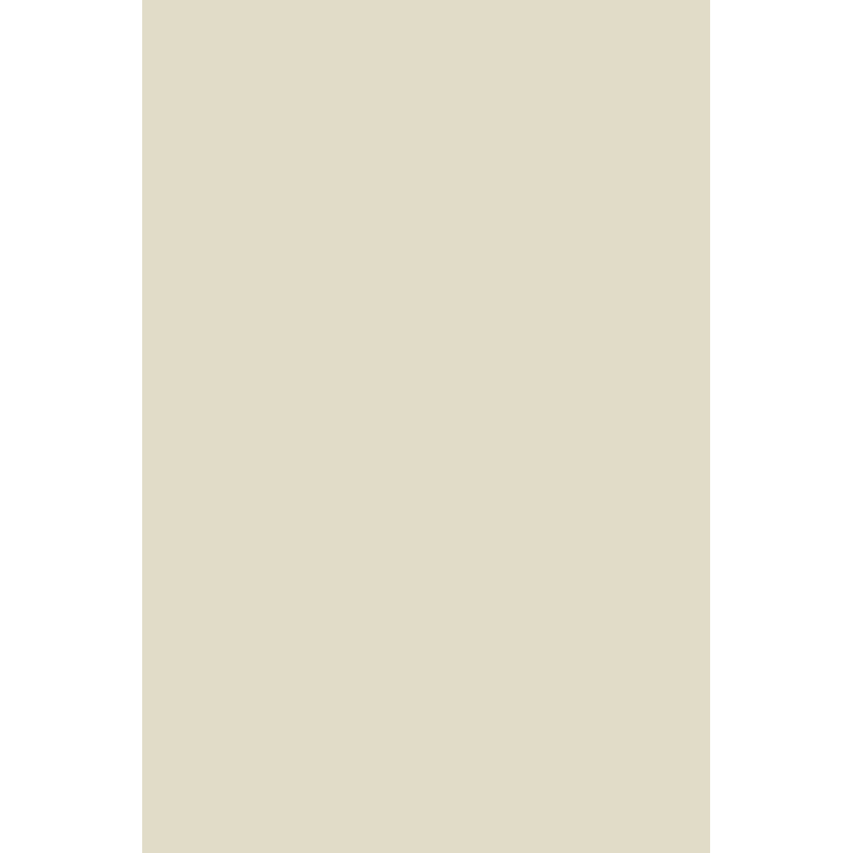 main.png