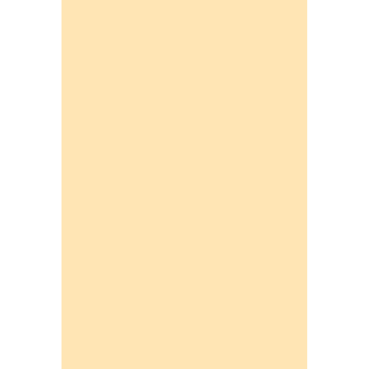 main.png