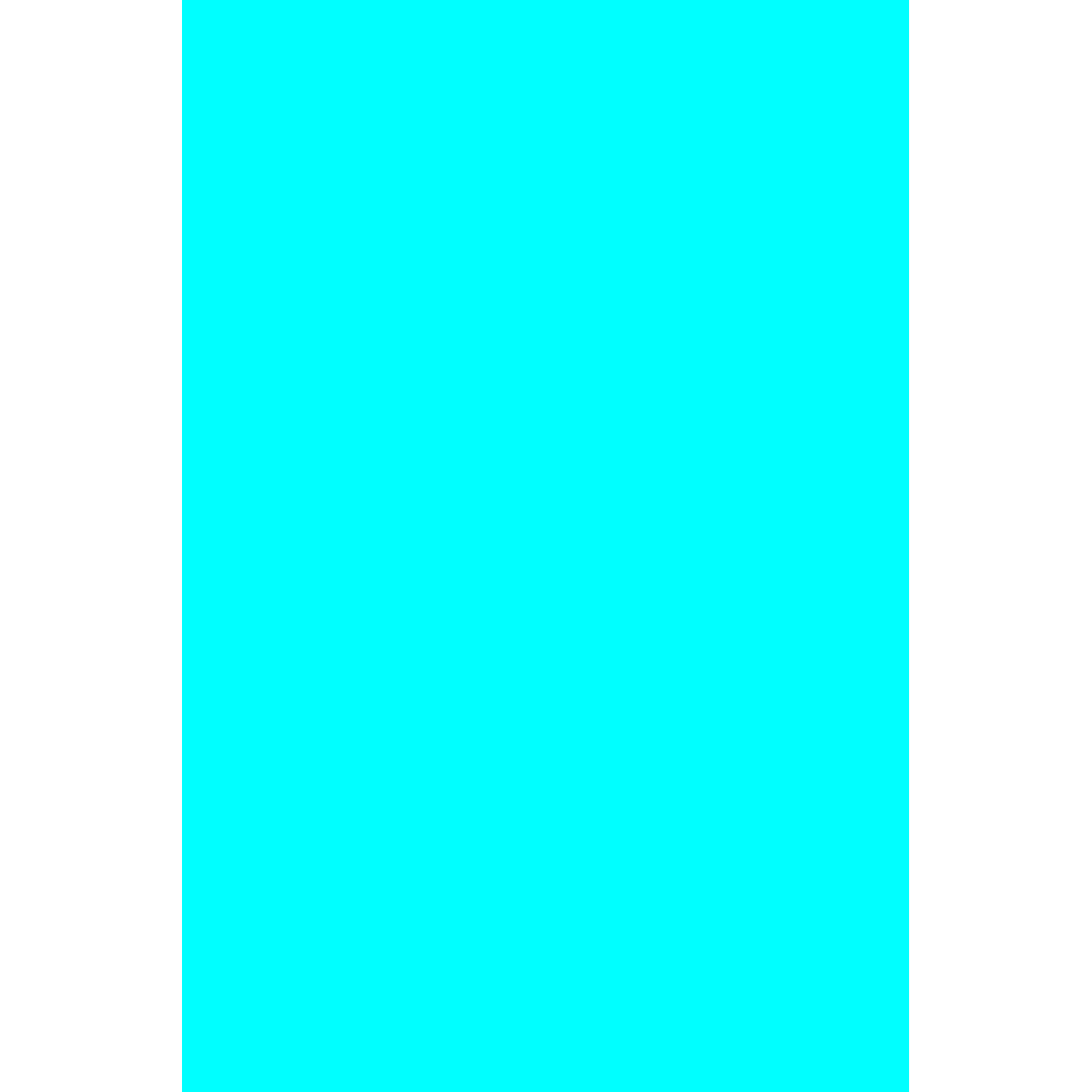 main.png
