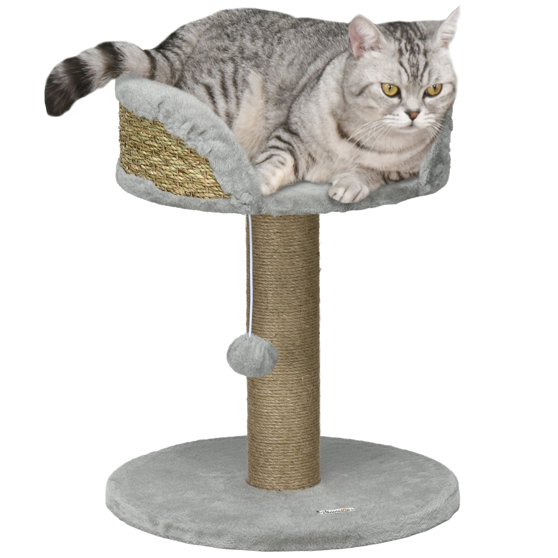 3f54d5bf-0917-4f70-84e4-628d8e570cc6.png
