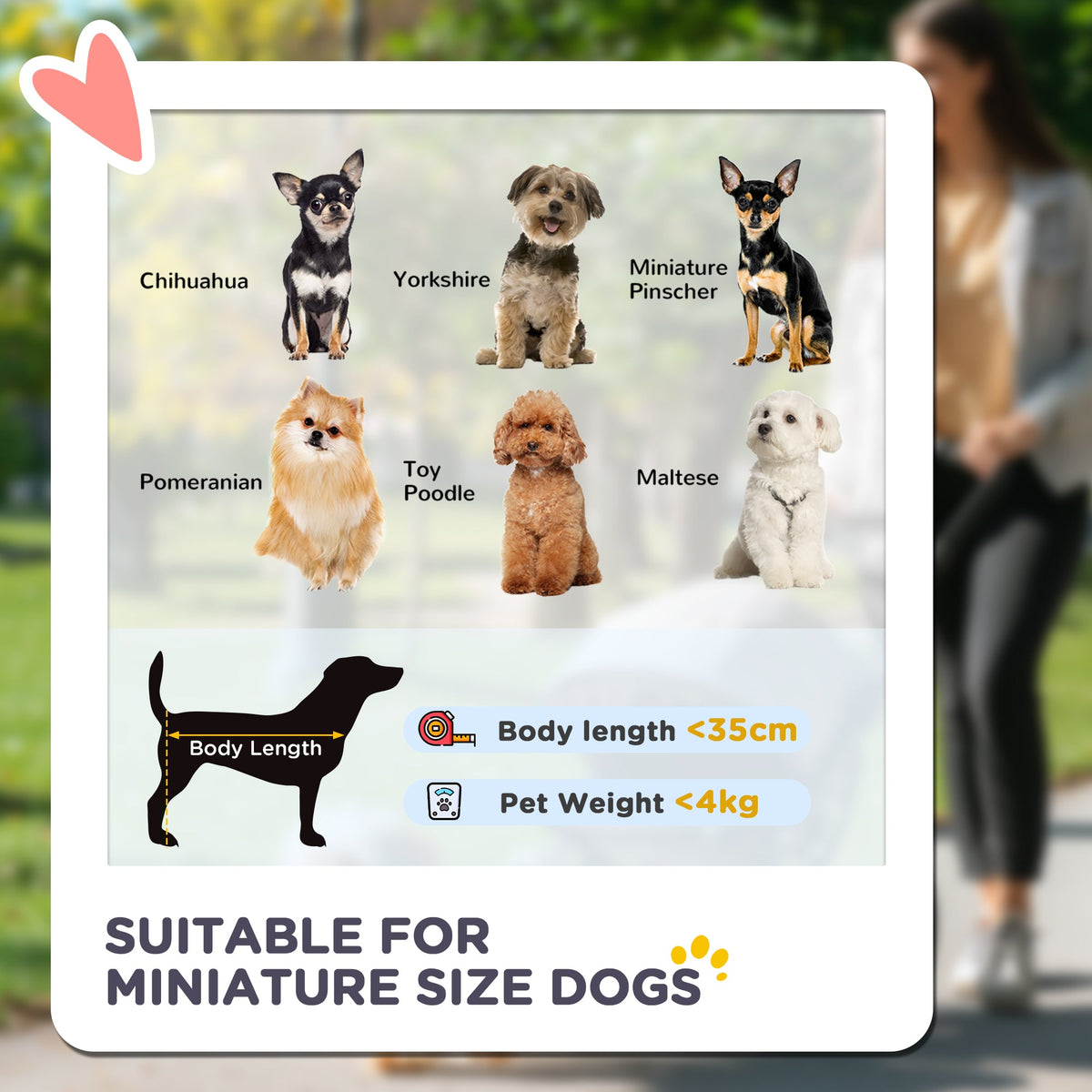 PawHut 3 in 1 Pet Stroller with Detachable Carrier for Mini Dogs