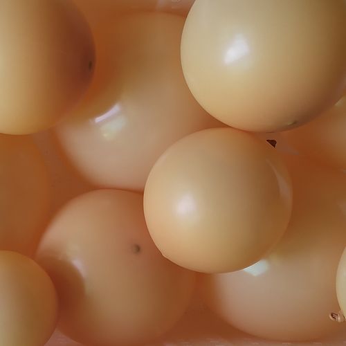 V12000018907325152_0.jpg
