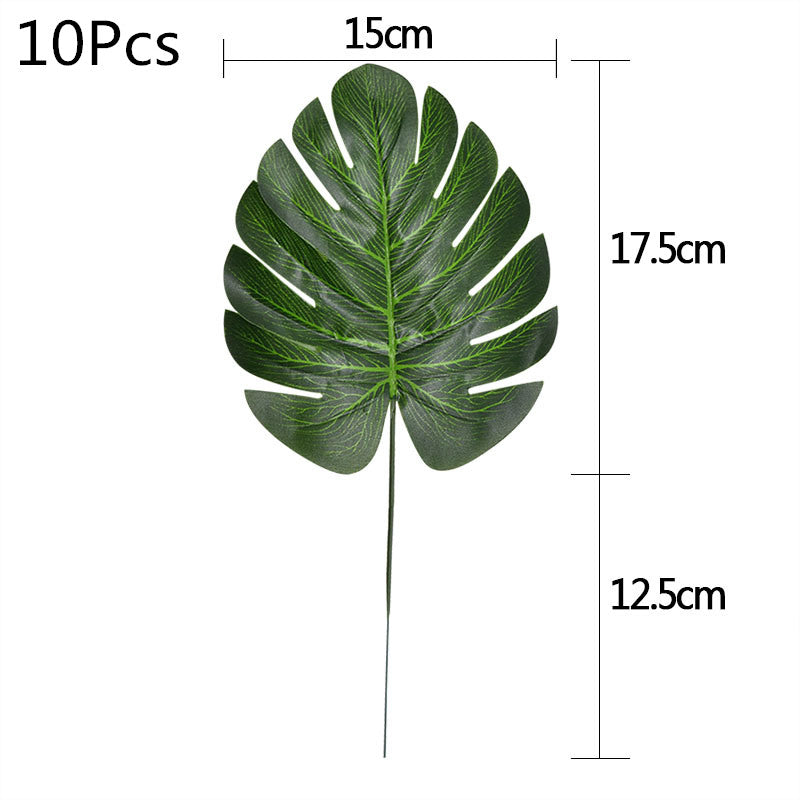 V12000020698846653_0.jpg