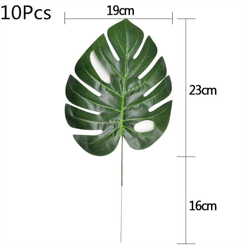 V12000020698846655_0.jpg