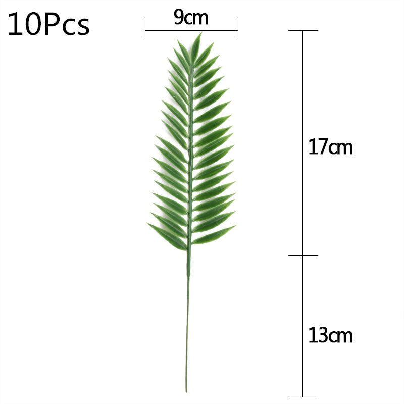 V12000020698846656_0.jpg