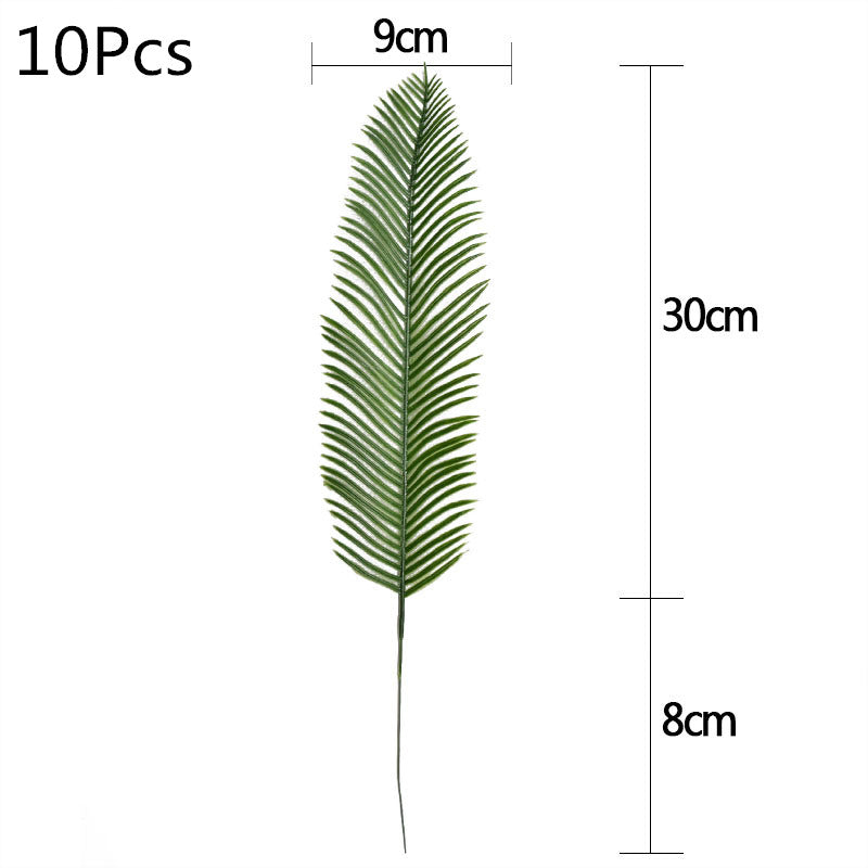 V12000020698846657_0.jpg