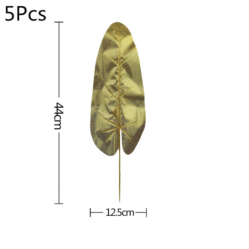 V12000020698846665_0.jpg