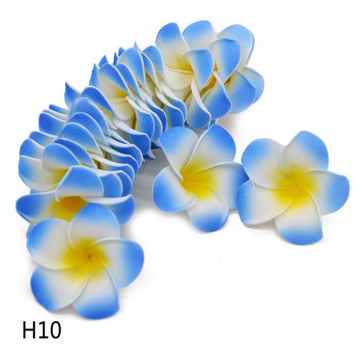 V12000021556436498_0.jpg