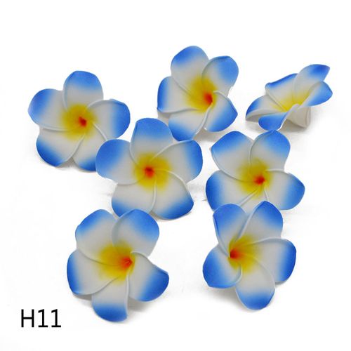 V12000021556436505_0.jpg