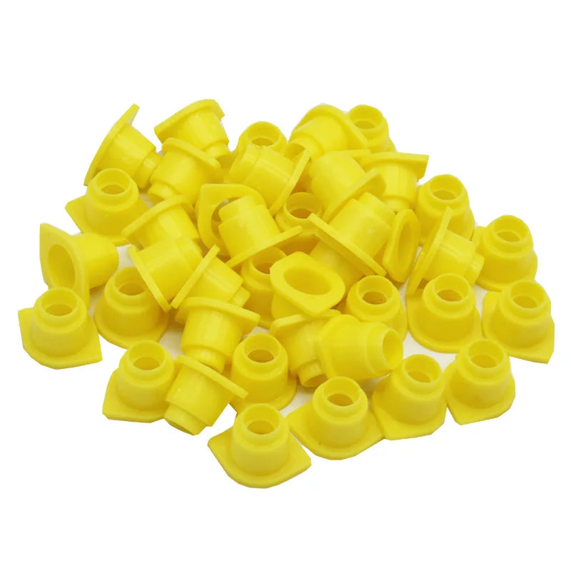 main.png