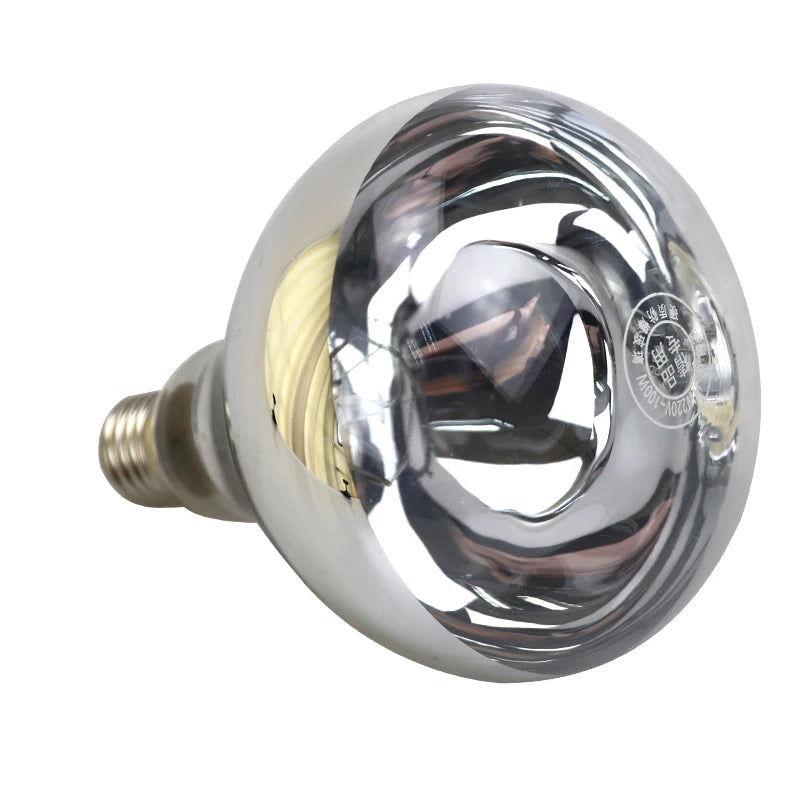 main.png