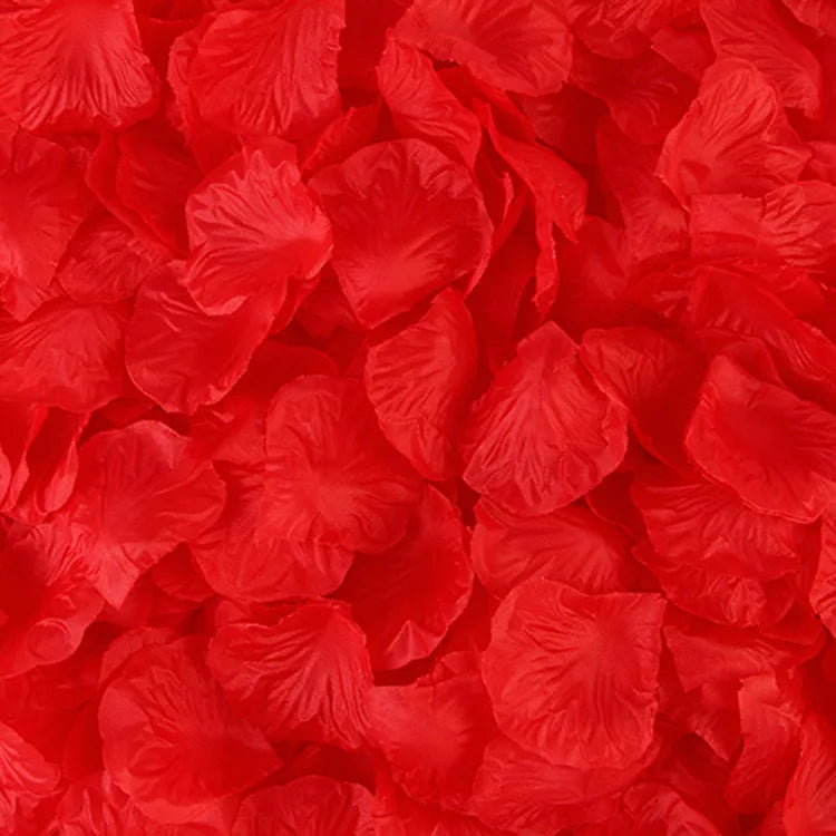 Se33a5d1e1b8240c7a8878bc94f158aa2d.jpg