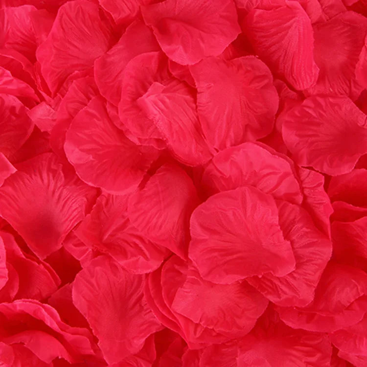 S4053e9c7c73e4805bb21d3e749146c94f.jpg