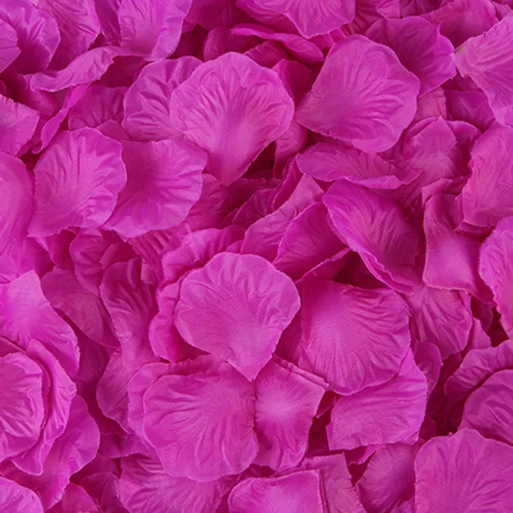S7ef7937af42943f8a19566a70cb8e441e.jpg