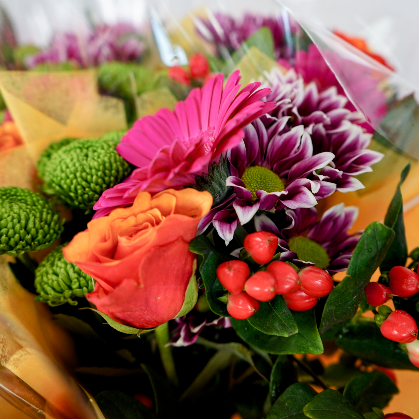 5 Stem Vibrant Bouquet (10 Bunches)