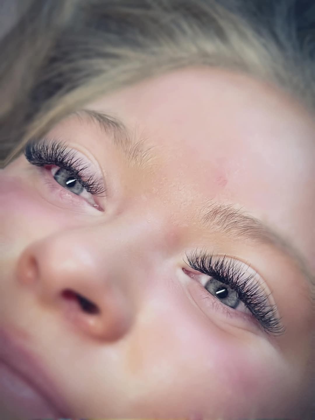 W Lash Mixed Tray