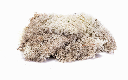 Hornby SkaleScenics R7193 Lichen - Stone Grey