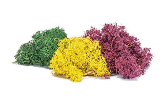 Hornby SkaleScenics R7196 Lichen - Autumn Mix
