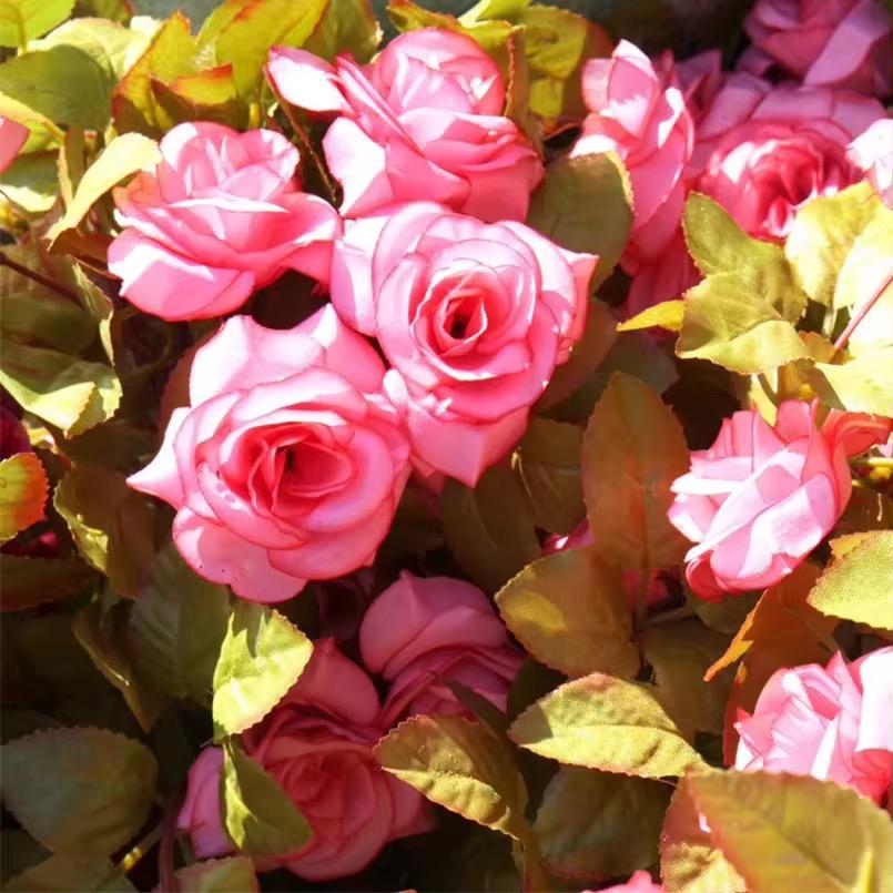 16Rose  Hanging flower（10PCS/OPP) mix color  2.3M,