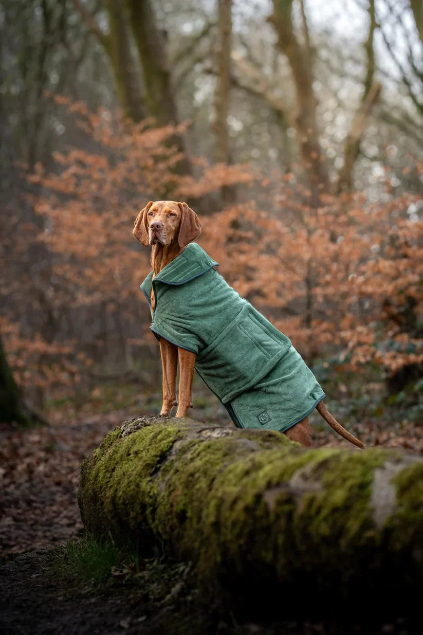 Stellar Luxury Drying Robes for Dogs