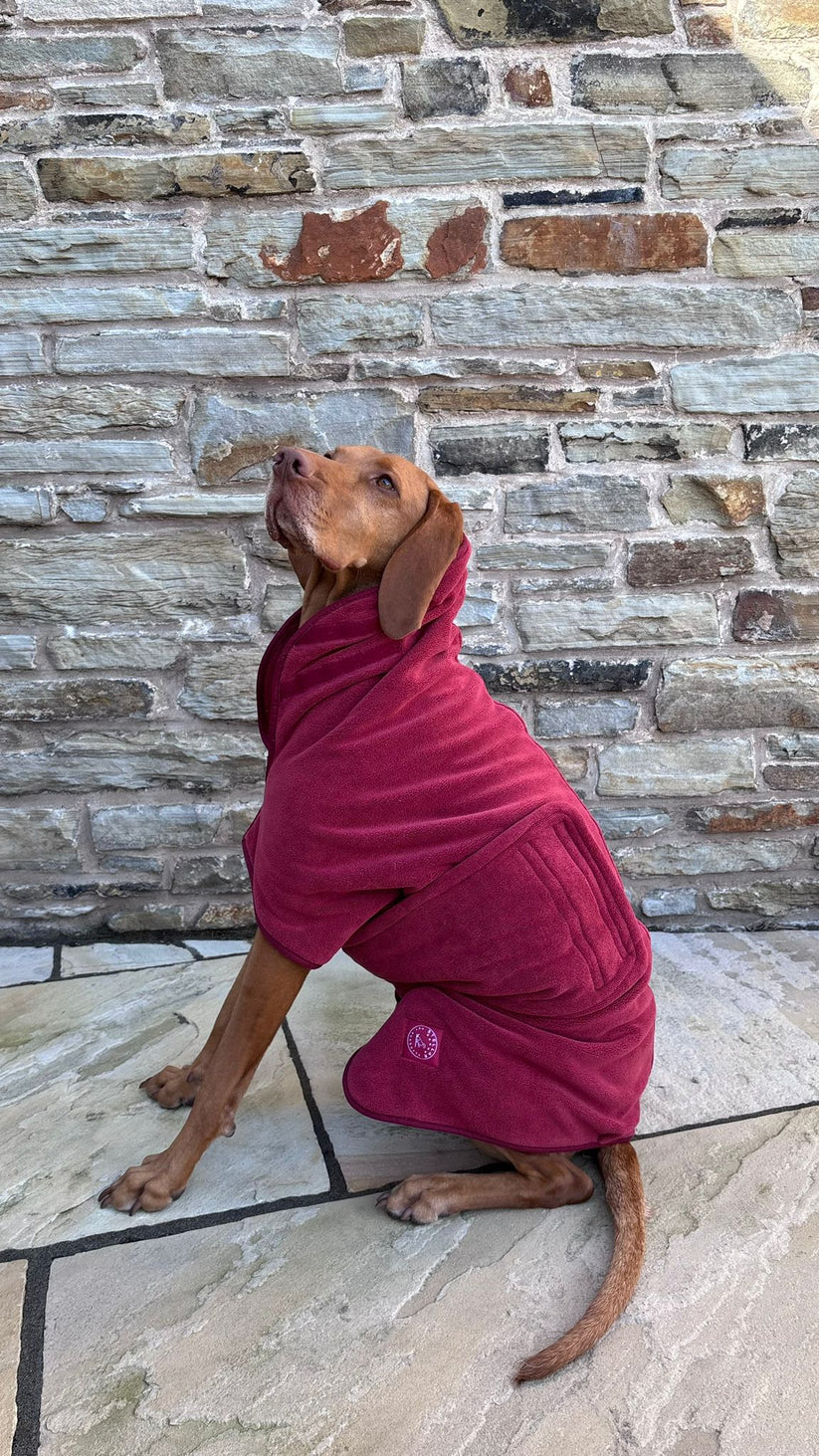 Stellar Luxury Drying Robes for Dogs