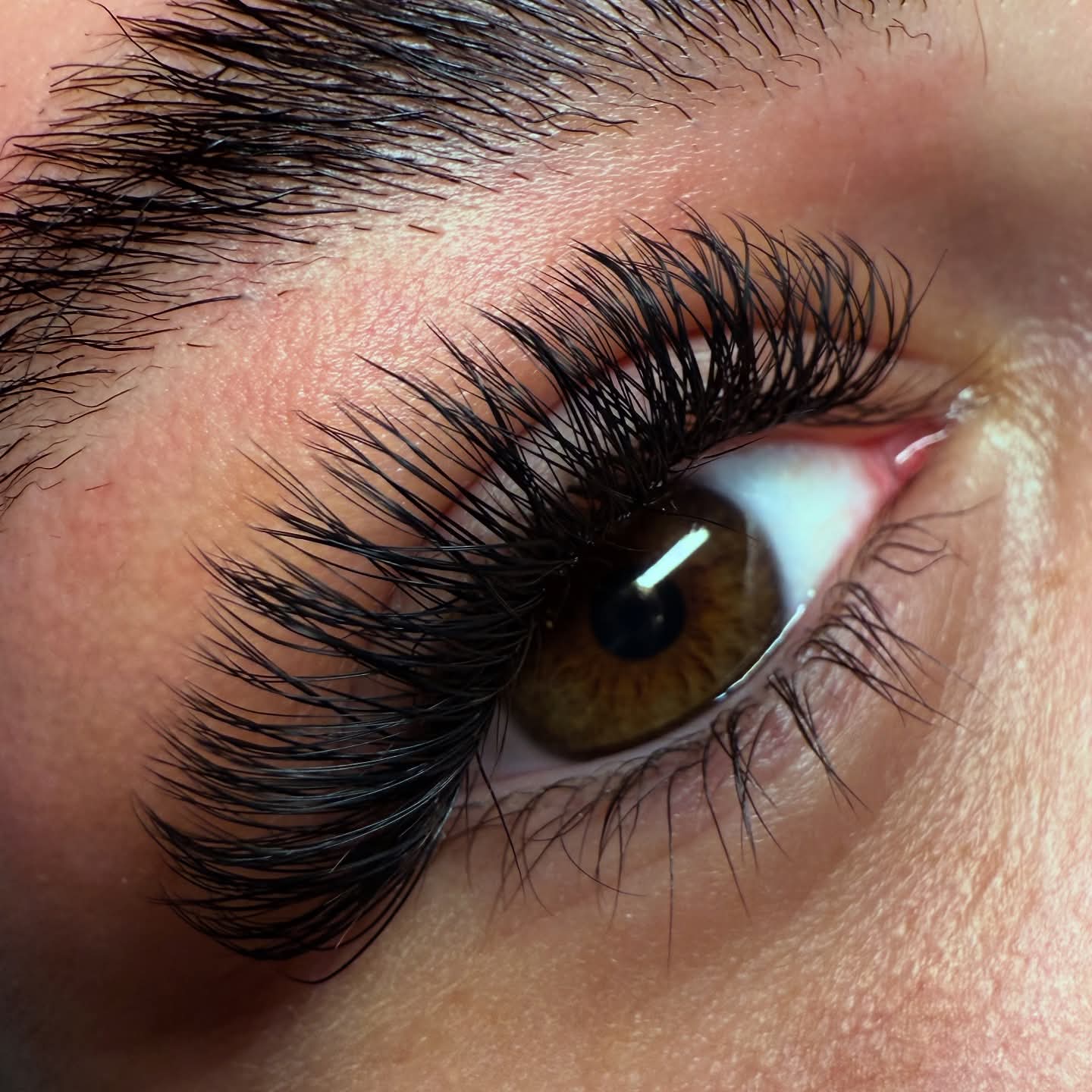 Sample YY Lash Tray