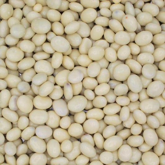 Yogurt Raisins