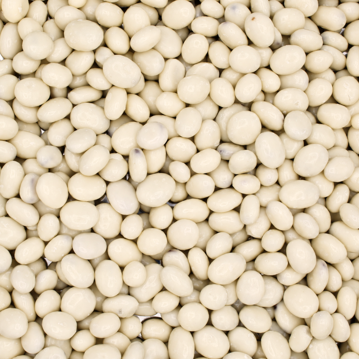 Yogurt Raisins