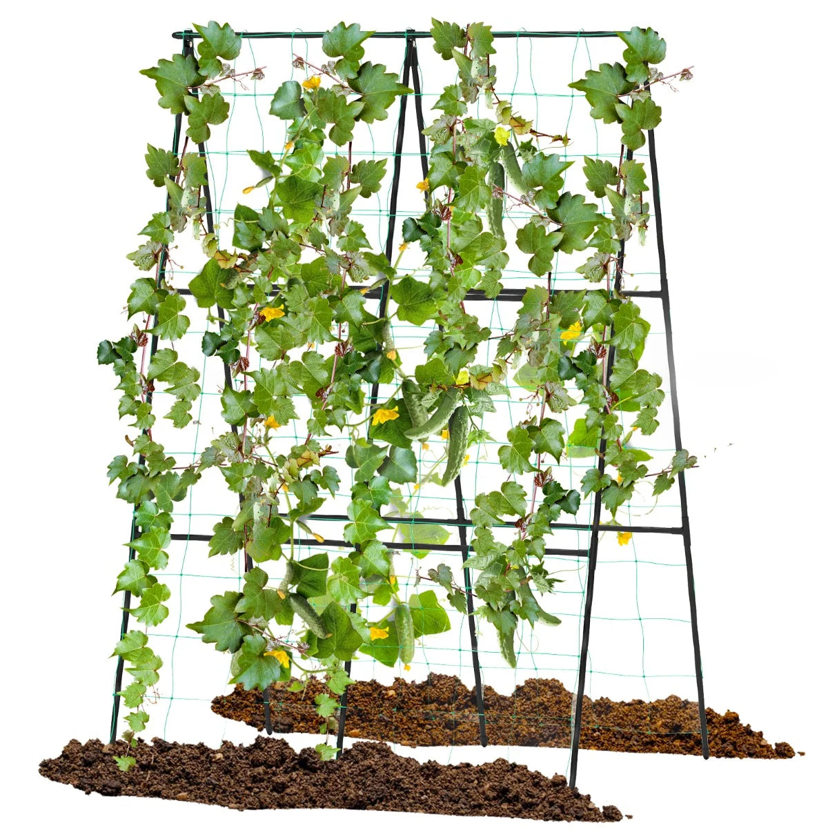 A-Frame Outdoor Trellis for Climbing Plants Garden Trellis