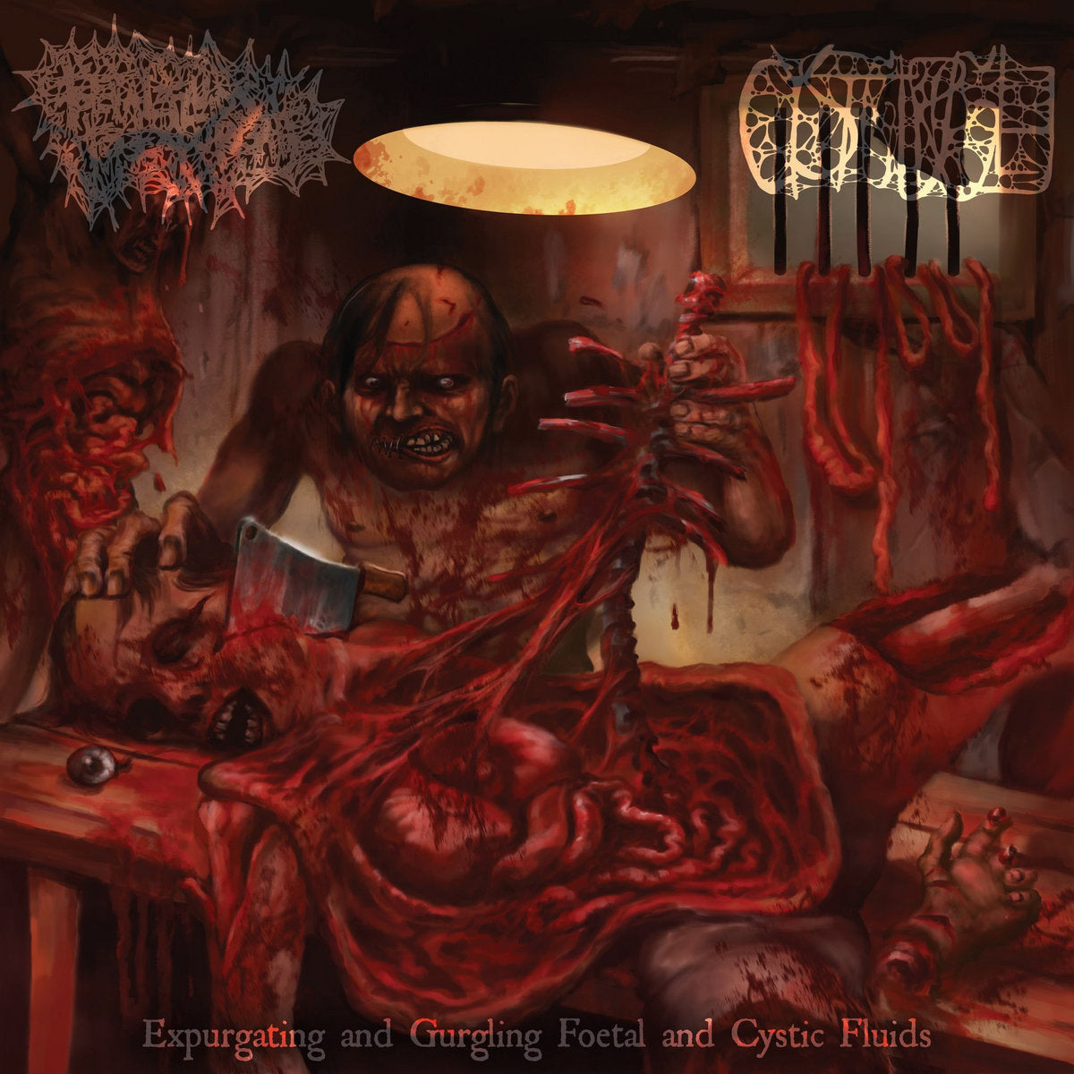 Foetal Fluids To Expurgate/Cystgurgle - Split CD