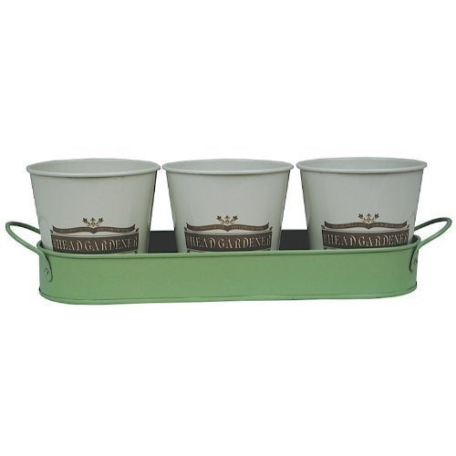 Head Gardener Wanted Set Of 3 Herb Pots