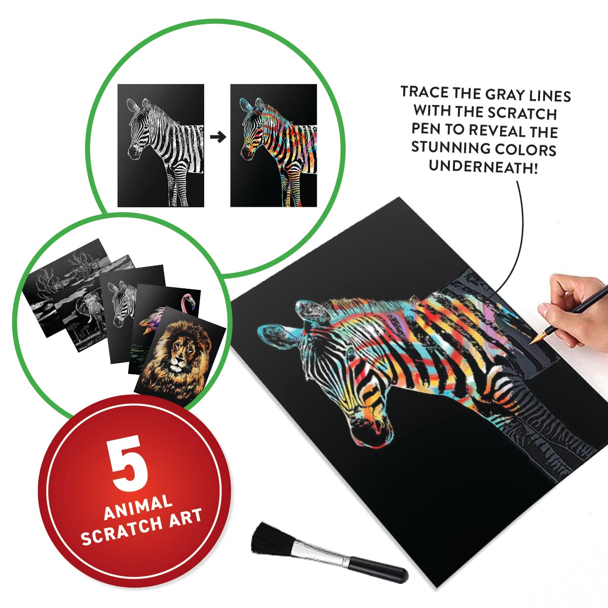 Abacus Brands Virtual Reality Animals Gift Box — Interactive VR Book & STEM Kit (Ages 8+)