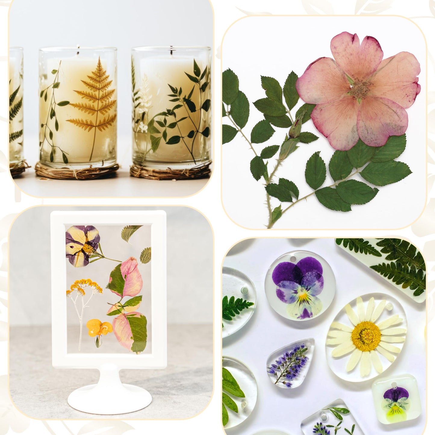 Aboofx Microwave Flower Press 6.3-Inch | 3-Layer Quick-Dry Kit for DIY Flower Art