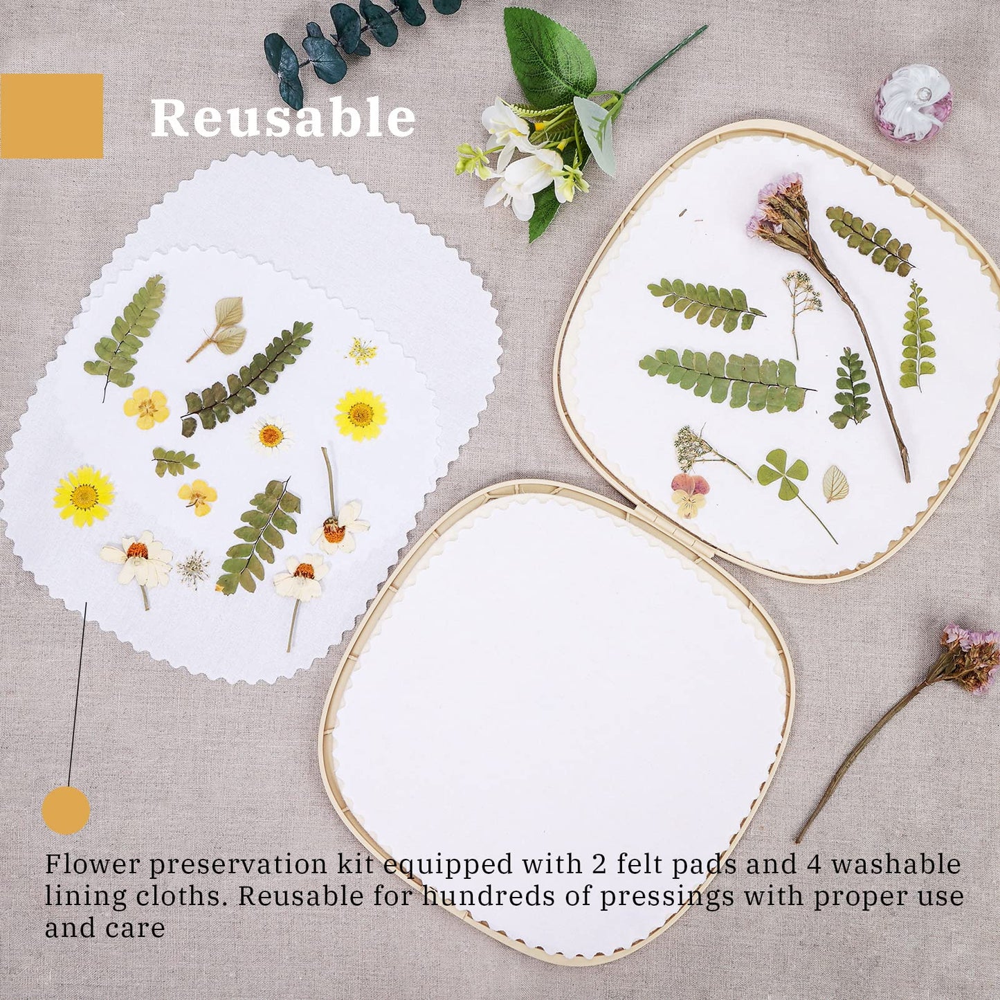 Aboofx Microwave Flower Press Kit - Fast Drying & Vibrant Dried Flowers for Craft Fans