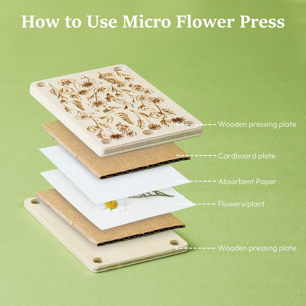Aboofx Mini Flower Press Kit – Portable 2.5 x 4 Inch for Dried Flowers, Leaves & Herbs | Beginner-Friendly