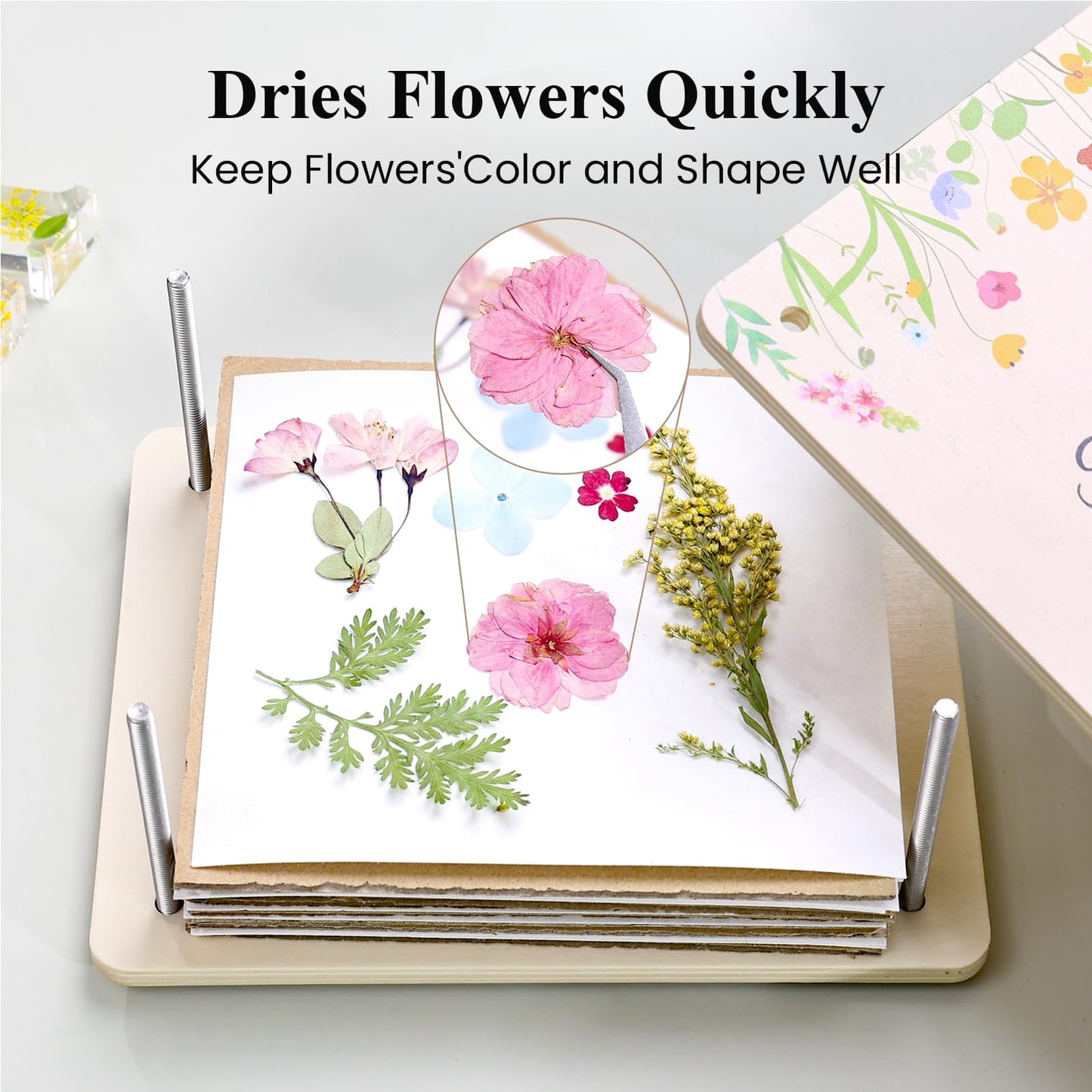 Aboofx Flower Press Kit — 8-Layer Wooden Press for DIY Pressed Flowers