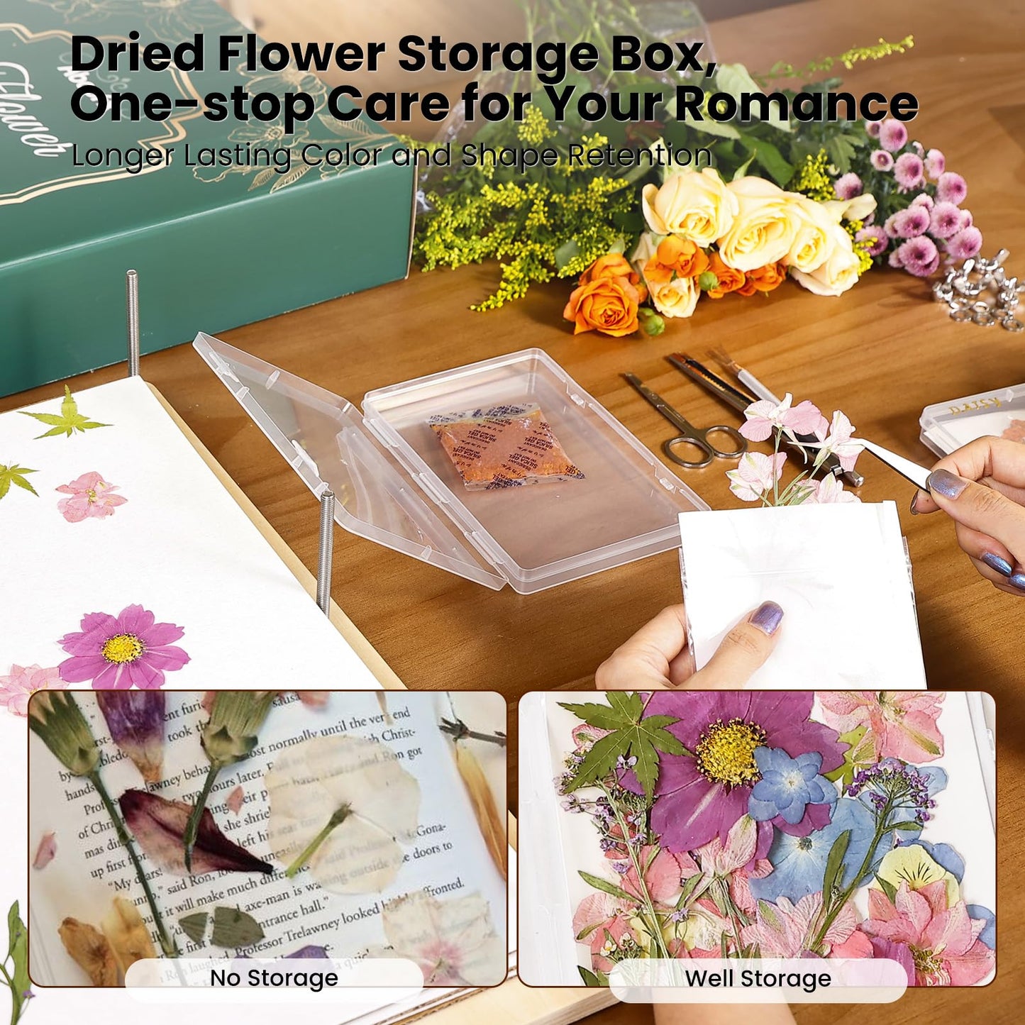 Aboofx Extra Large Flower Press Kit — 17x11.8 in, 5 Layers, Basswood