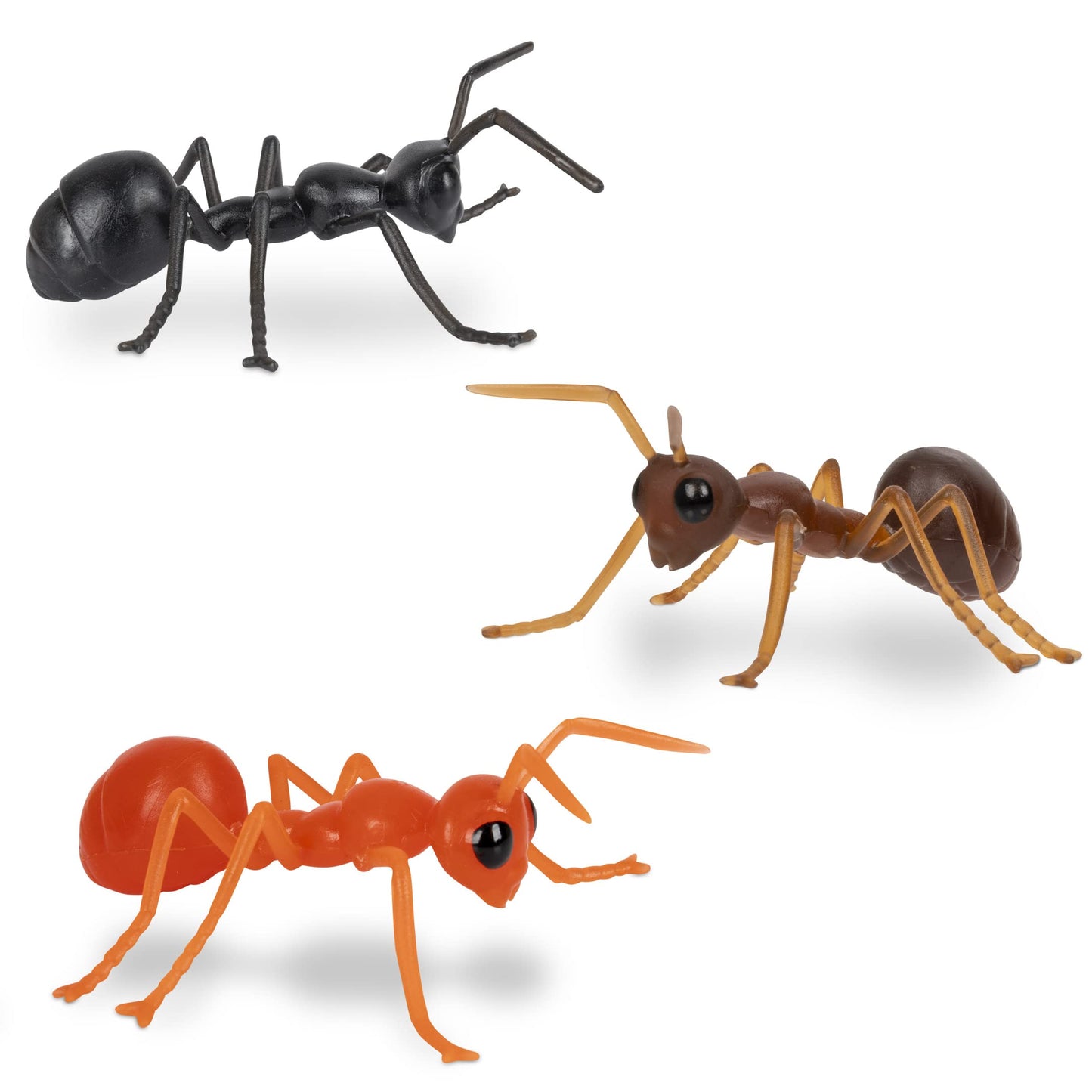 Accoutrements Archie McPhee Funny Gift Box of Novelty Ants (6 Pack)