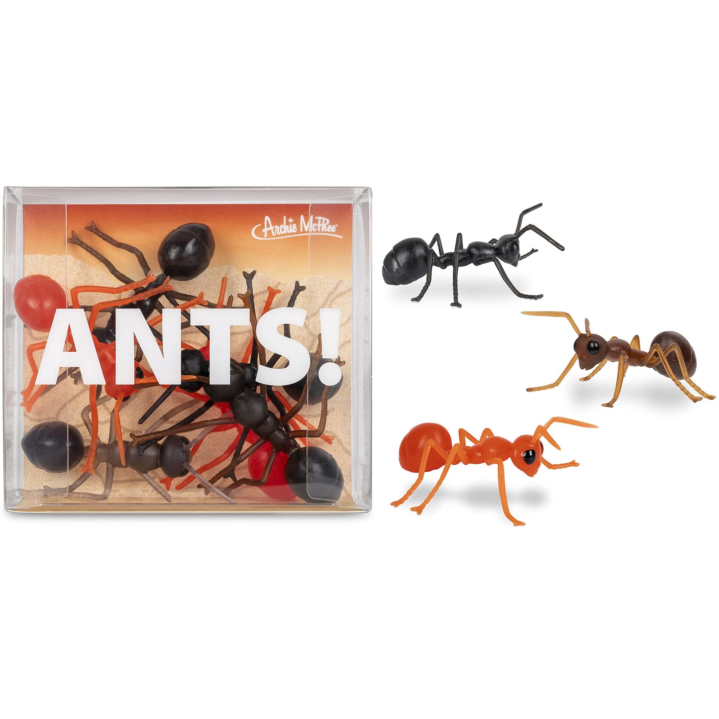 Accoutrements Archie McPhee Funny Gift Box of Novelty Ants (6 Pack)