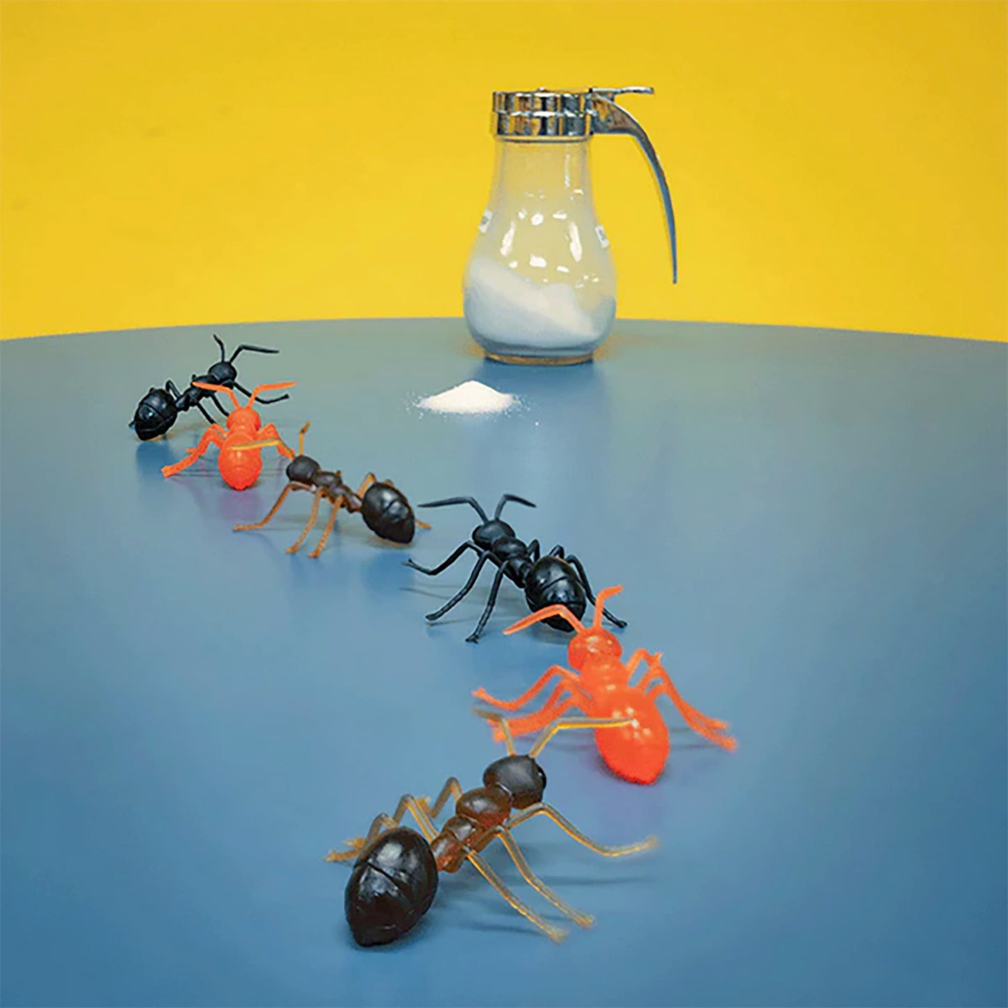 Accoutrements Archie McPhee Funny Gift Box of Novelty Ants (6 Pack)