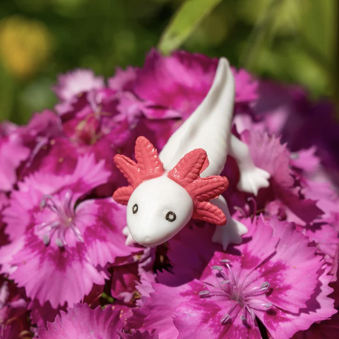 Accoutrements Archie McPhee Itty Bitty Axolotls 8-Pack – Soft Vinyl Mini Friends