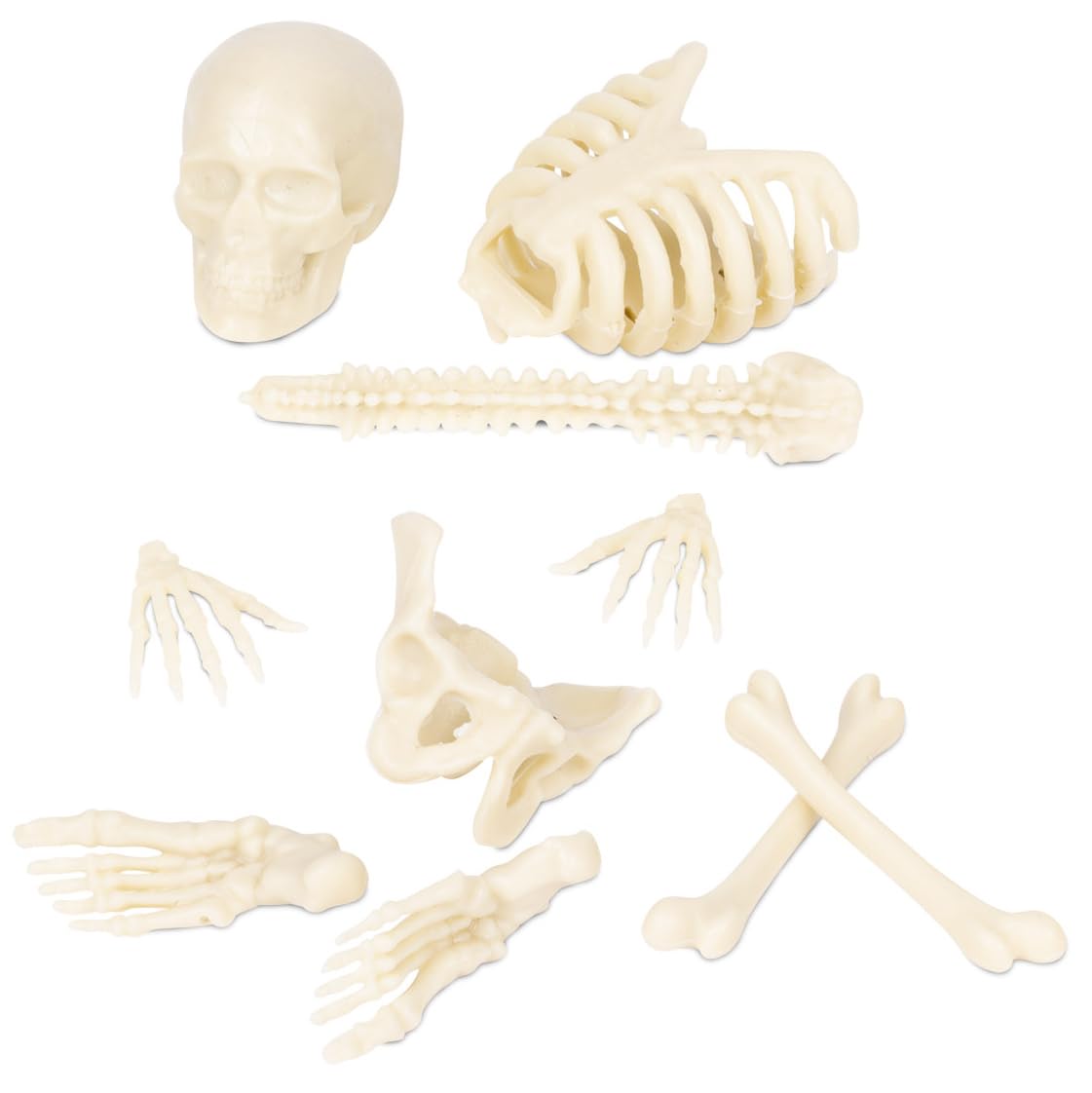 Accoutrements Itty Bitty Bones Glow in the Dark 10-Piece Set | Miniature Bones for Halloween Displays