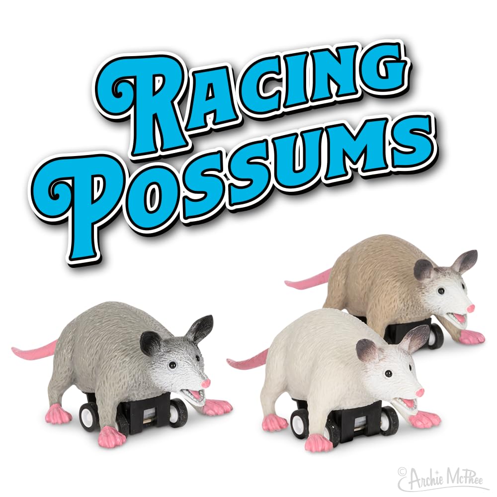 Accoutrements Racing Possums 3-Piece Set | Pull-Back Mini Racers