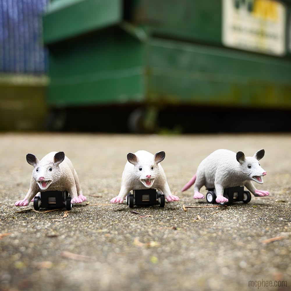 Accoutrements Racing Possums 3-Piece Set | Pull-Back Mini Racers