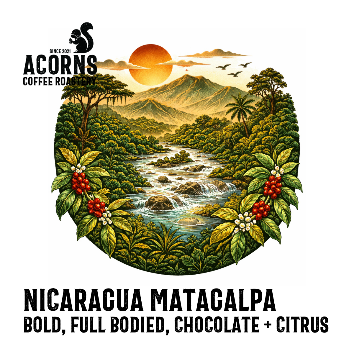 Nicaragua Matagalpa