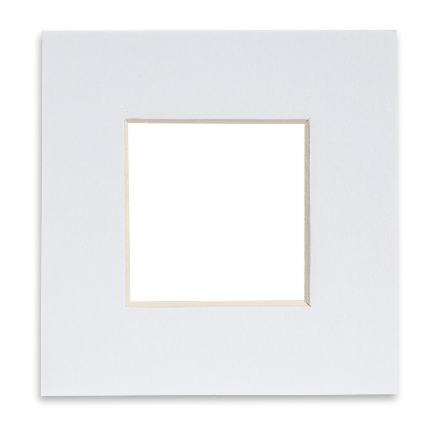 4" x 4" Picture Mount for 8" x 8" Frame