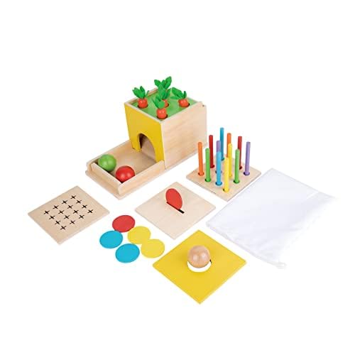 Adena Montessori 5-in-1 Wooden Play Kit for Babies 6-12 Months | Object Permanence, Color Drop, Harvest & Coin Box