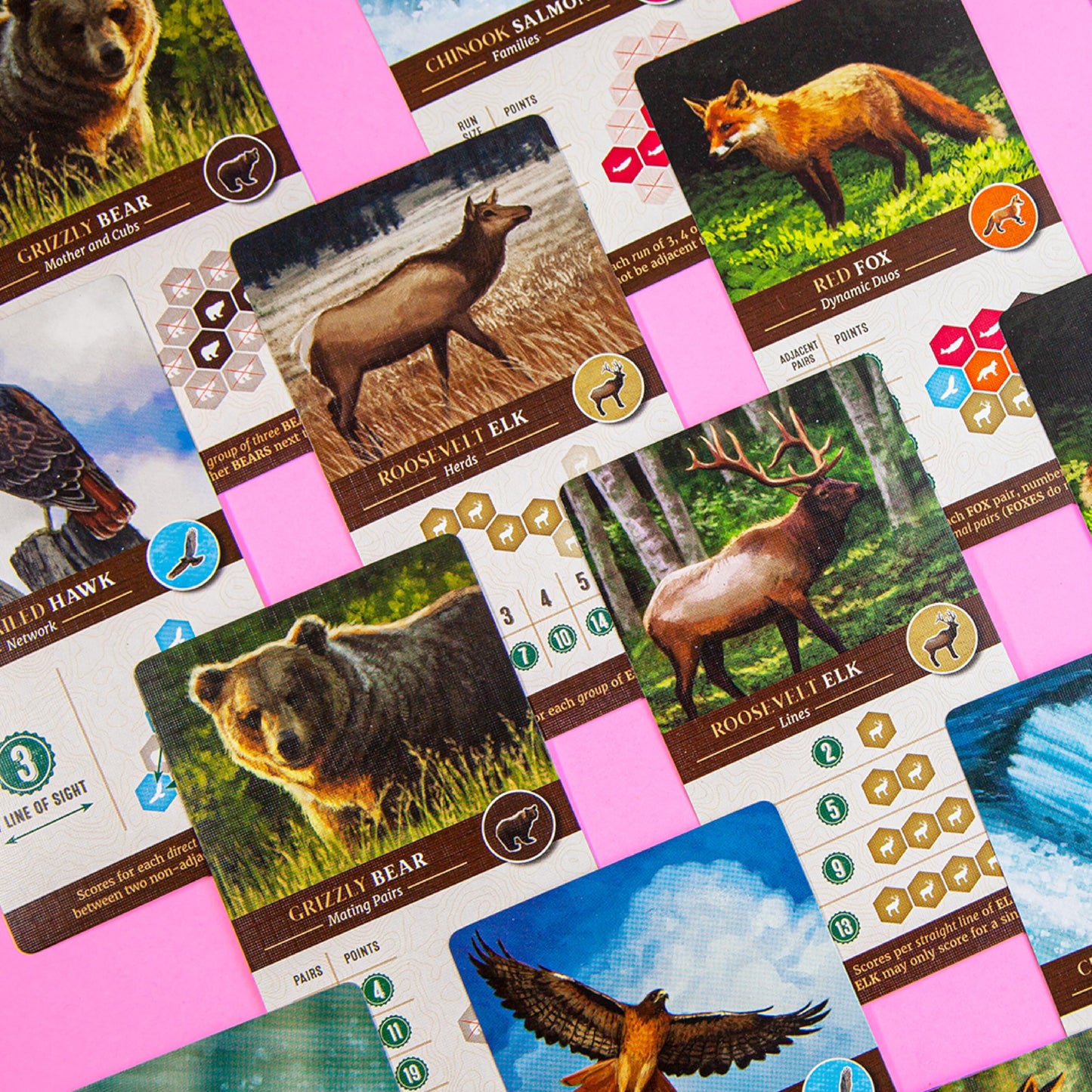 AEG & Flatout Games Cascadia – Award-Winning Pacific Northwest Board Game | Easy to Learn | Ages 10+